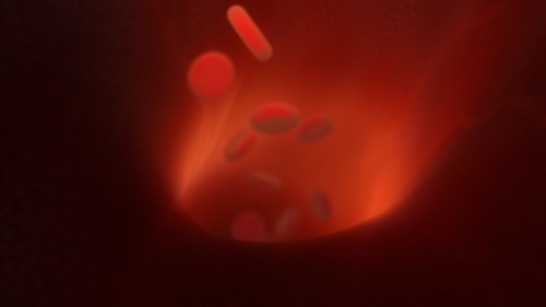 Animation of Blood