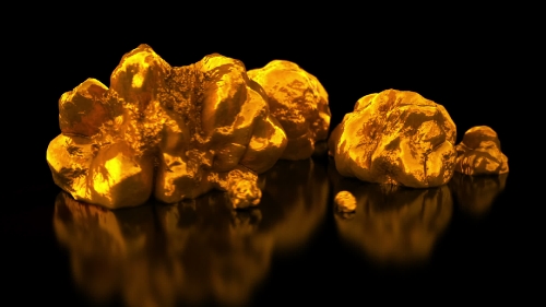 Gold mining. Native gold