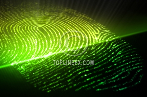 Fingerprint Recognition System