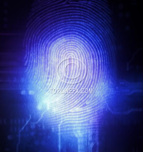 Fingerprint scanner identification