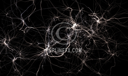 Nervous system or abstract network system