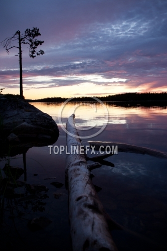 Trees sunset lake
