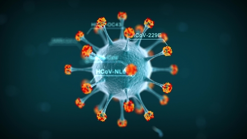 Coronavirus mutations video 4k